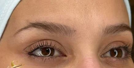 Sourcils — avant